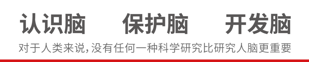 認識腦,保護腦,開發腦